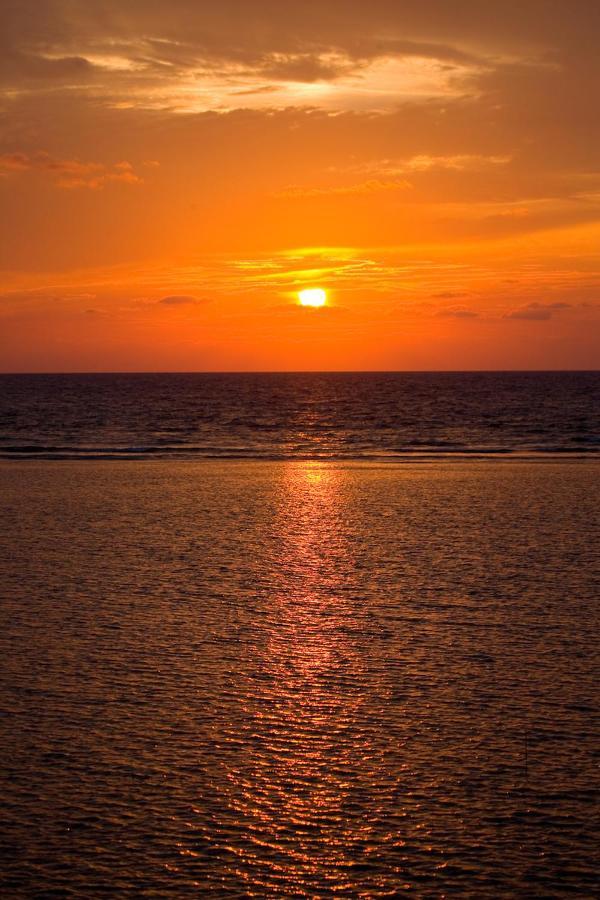 Pelican Beach Resort South Water Caye Dangriga Exteriér fotografie