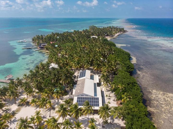 Pelican Beach Resort South Water Caye Dangriga Exteriér fotografie