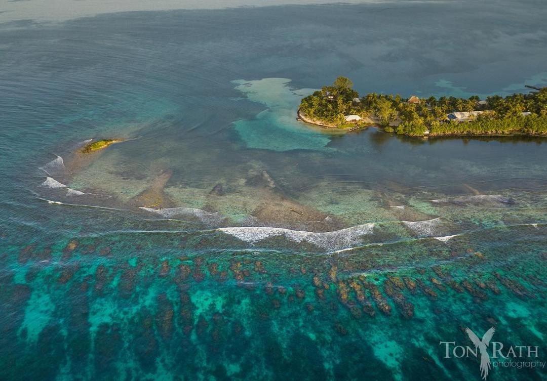 Pelican Beach Resort South Water Caye Dangriga Exteriér fotografie