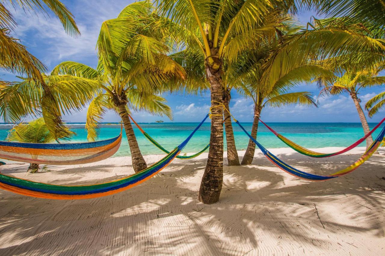 Pelican Beach Resort South Water Caye Dangriga Exteriér fotografie