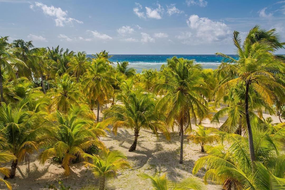 Pelican Beach Resort South Water Caye Dangriga Exteriér fotografie